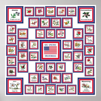 USA 50州花白/559 ポスター