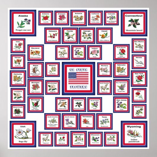 USA 50州花白/559 ポスター (正面)