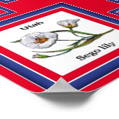 USA 50州花赤/560 ポスター (角)