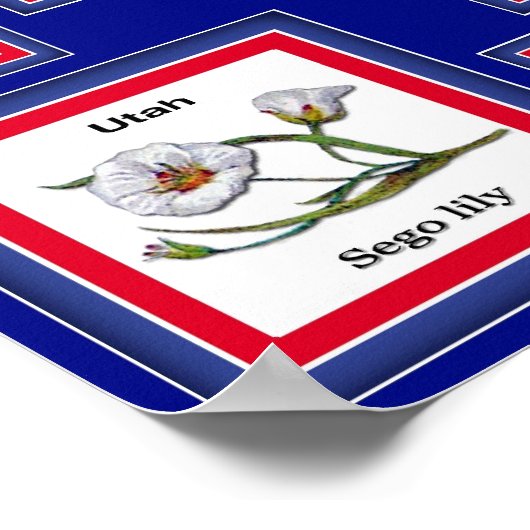 USA 50州花青/558 ポスター (角)