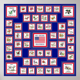 USA 50州花青/558 ポスター