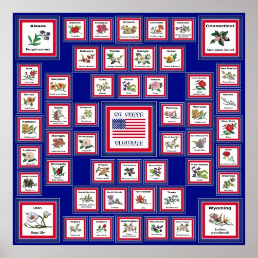 USA 50州花青/558 ポスター (正面)