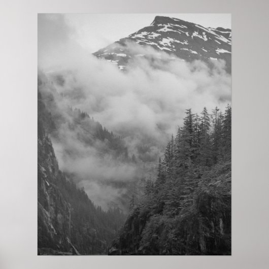USA, Alaska, Juneau, Rainforest covers fjords in ポスター (正面)