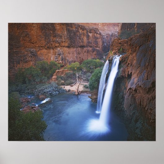 USA, Arizona, Grand Canyon, Havasu Falls ポスター (正面)