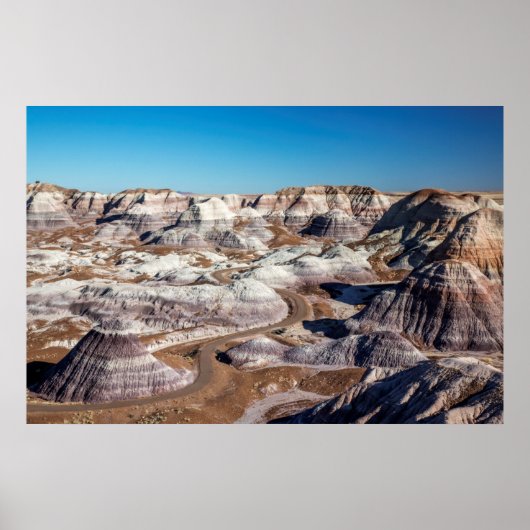 USA, Arizona, Petrified Forest National Park ポスター (正面)