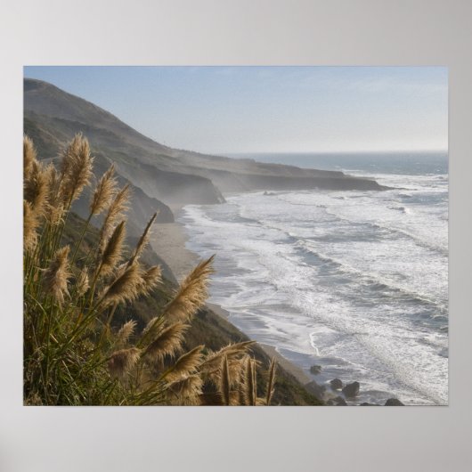 USA, California, Mendocino Coast ポスター (正面)