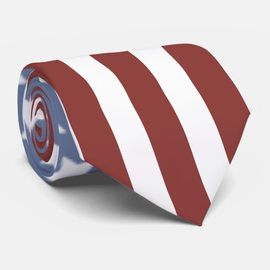 USA Flag Stars and Stripes Tie ネクタイ (ロール)
