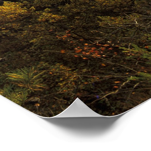 USA, Kentucky. Daniel Boone National Forest. ポスター (角)