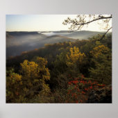 USA, Kentucky. Daniel Boone National Forest. ポスター (正面)