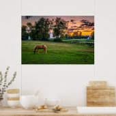 USA, Lexington, Kentucky. Lone horse at sunset ポスター (キッチン)