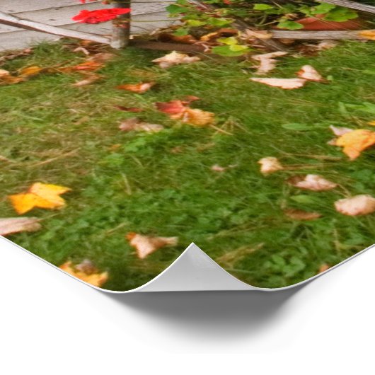 USA, Main. Wagon Wheels ポスター (角)