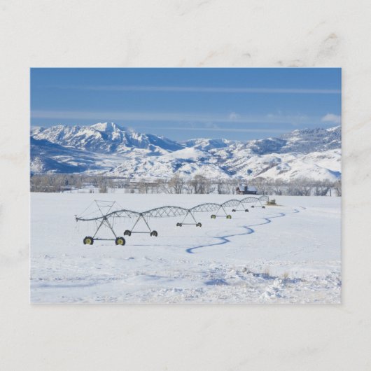 USA, MT, Livingston近くのファーム ポストカード (正面)