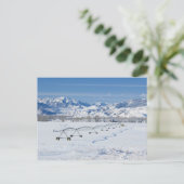 USA, MT, Livingston近くのファーム ポストカード (スタンド正面)