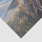 USA Robins 薄葉紙 (詳細)