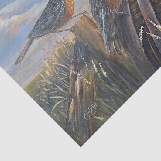 USA Robins 薄葉紙 (詳細)