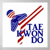USA Taekwondo Kick (1) ポスター (正面)