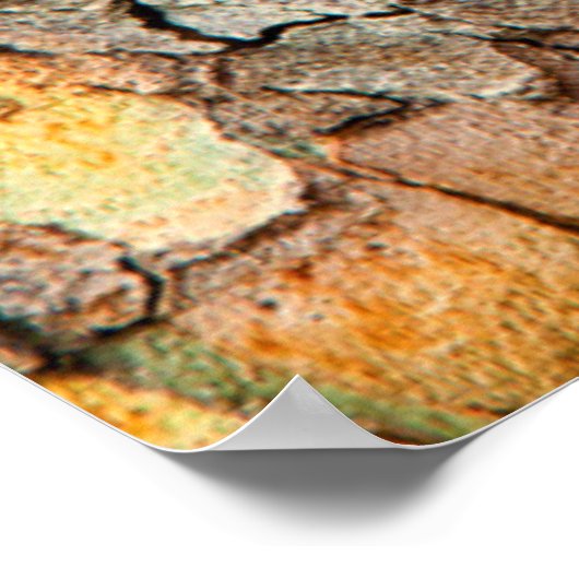 USA, Tennessee, Close Up Of Bark On A Tree ポスター (角)