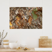 USA, Tennessee, Close Up Of Bark On A Tree ポスター (キッチン)