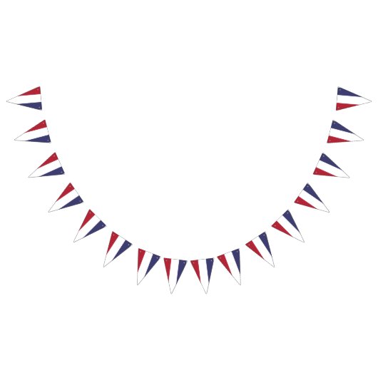 USA Triangle Bunting Flags for Patriotic Decor バンティングフラッグ (全)