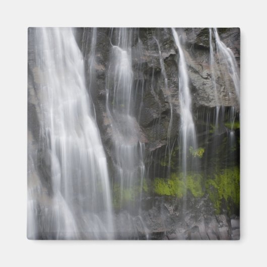 USA, WA, Mt. Rainier NP, Narada秋 マグネット (正面)