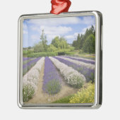 USA, WA, Sequim,パープルヘイズラベンダーファーム メタルオーナメント (左)