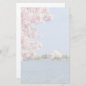 USA, Washington DC, Cherry tree 便箋 (正面/裏面)