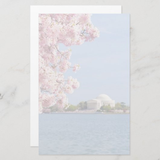 USA, Washington DC, Cherry tree 便箋 (正面/裏面)