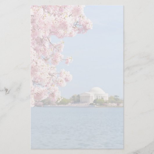 USA, Washington DC, Cherry tree 便箋 (正面)