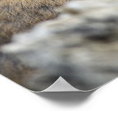 USA, Washington, North Cascades National Park, ポスター (角)