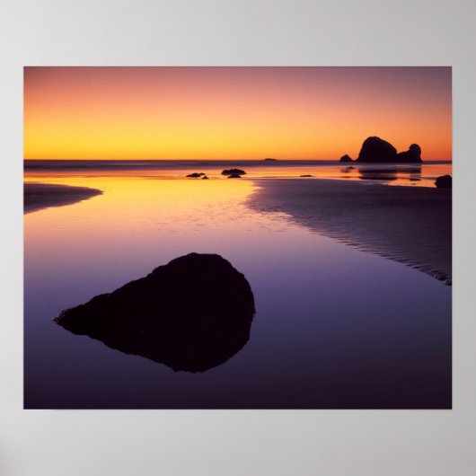 USA, Washington, Olympic Peninsula ポスター (正面)