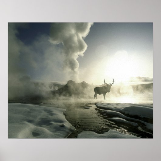USA, Wyoming, Yellowstone National Park. Sunrise ポスター (正面)