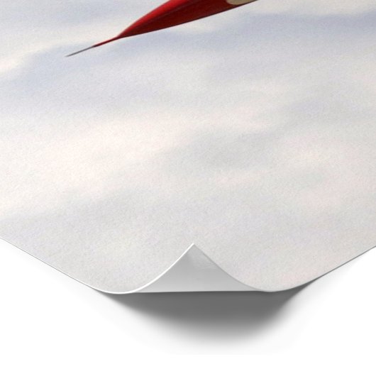 USAF雷鳥 ポスター (角)