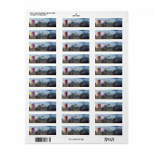 USARVベトナム戦争退役軍人パッチ ラベル (フルシート)