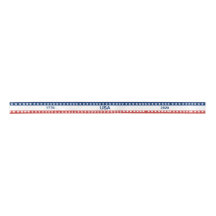USA's 250th Anniversary 1776 2026 Red White Blue