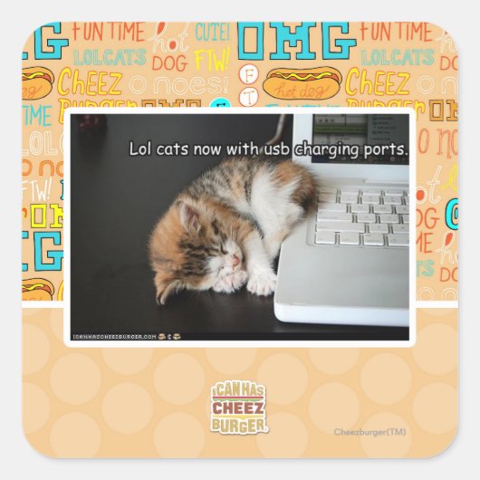 USBで猫を見る スクエアシール (正面)