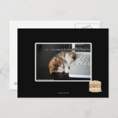 USBで猫を見る ポストカード (正面/裏面)