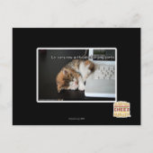 USBで猫を見る ポストカード (正面)