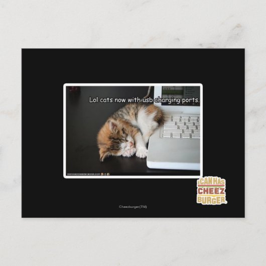 USBで猫を見る ポストカード (正面)