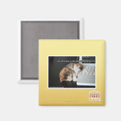 USBで猫を見る マグネット (正面/裏面)