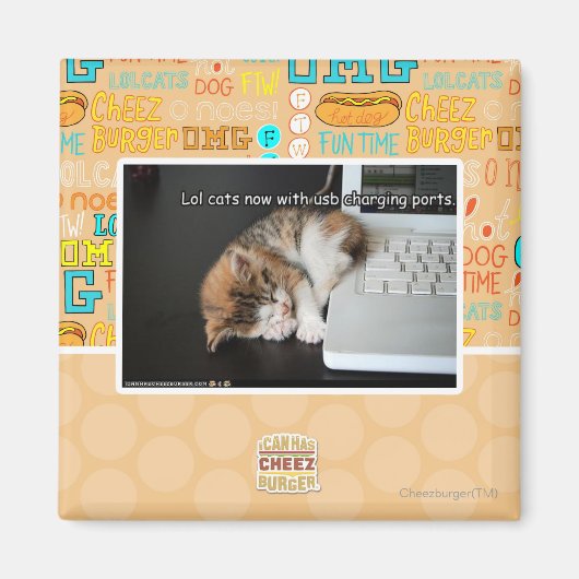 USBで猫を見る マグネット (正面)