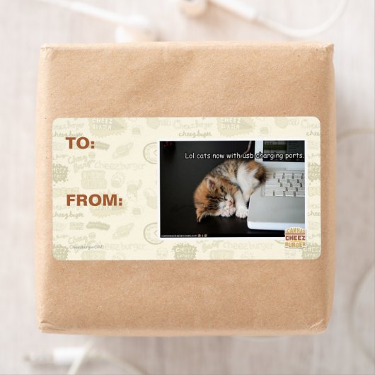 USBで猫を見る ラベル (インサイチュ)