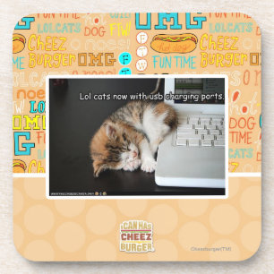 USBを持つLol猫 コースター