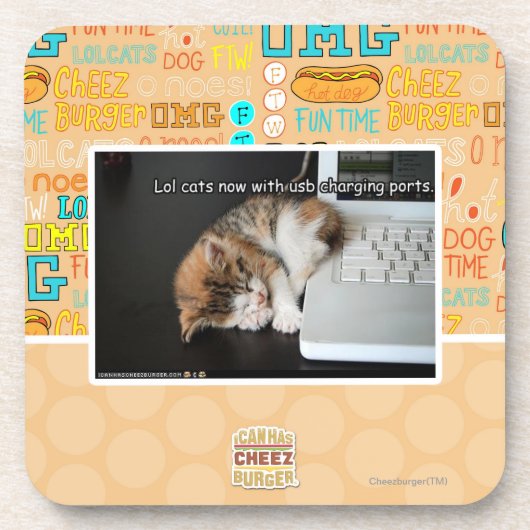 USBを持つLol猫 コースター (正面)