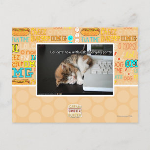 USBを持つLol猫 ポストカード