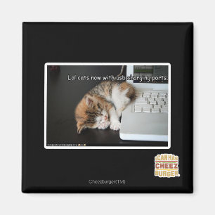 USBを持つLol猫 マグネット