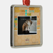 USBを持つLol猫 メタルオーナメント (右)