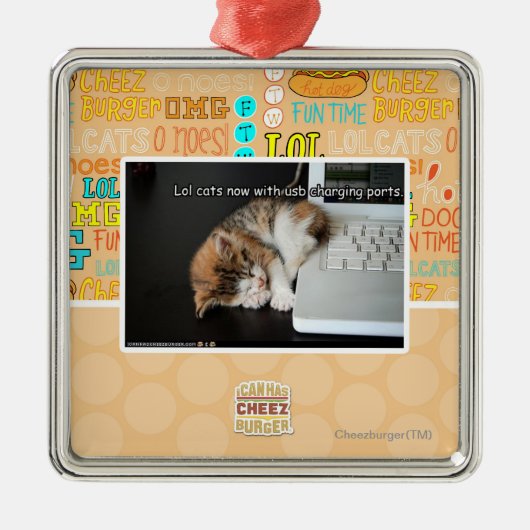 USBを持つLol猫 メタルオーナメント (正面)