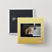 USBを持つLol猫 缶バッジ (正面&裏面)