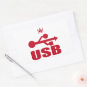 USB（赤） 長方形シール (封筒)