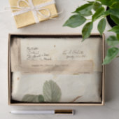 USDA 1908のラズベリーイラストレーション 薄葉紙 (ギフト)